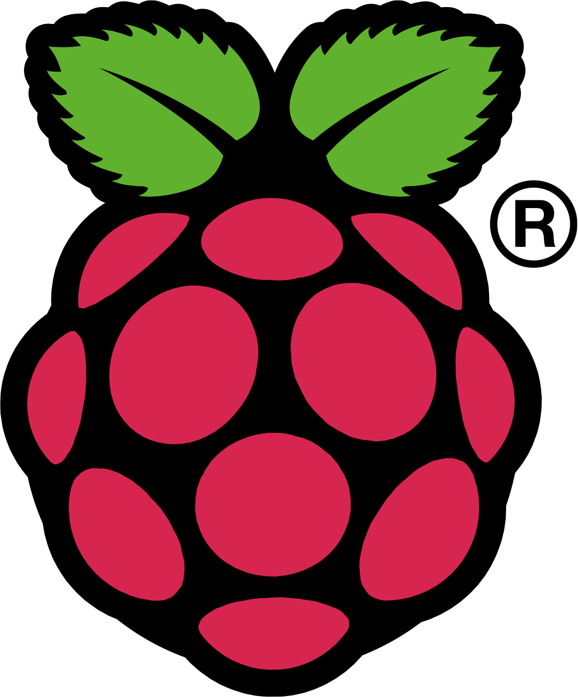 servidor-web-casero-y-econ-mico-con-el-raspberry-pi-coyan-es